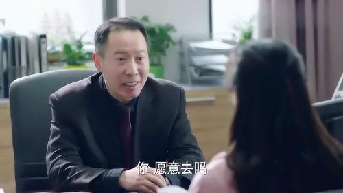 校长的欲望,共创教育辉煌未来 第2张 校长的欲望,共创教育辉煌未来 第2张